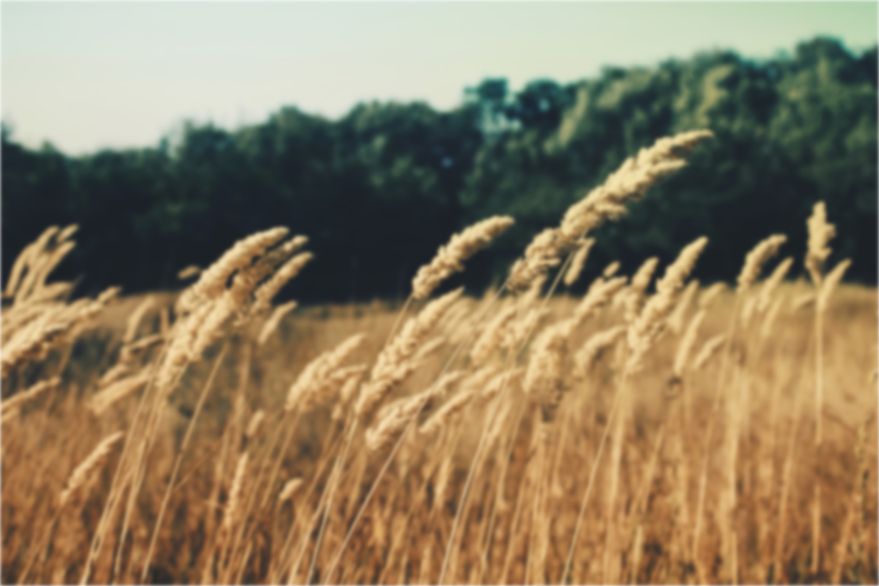 eyecatch/7.jpg eyecatch/7.jpg